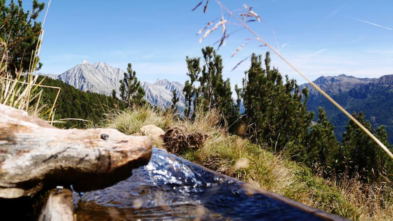 Apartments Nature Apis Landheim Anterselva di Mezzo Eksteriør bilde